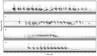 Noise-Related Song Variation Affects Communication: Bananaquits Adjust Vocally to Playback of Elaborate or Simple Songs